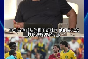 球神欧洲杯进球集锦视频封面